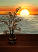 Canvas: culiban