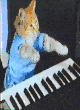 Keyboardcat805