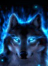 Bluejaysilverwolf