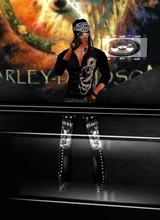 MajesticIceWolf