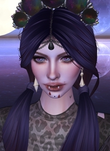lHaya