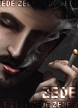 ZEDE