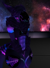 Shiiko303