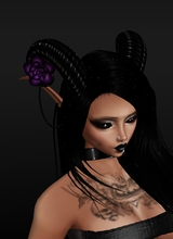 Canvas: Vexa