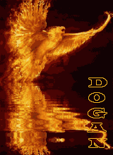 Creator: DOGAN