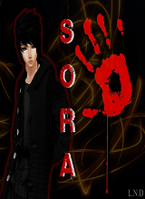 Canvas: soraxwolfxside