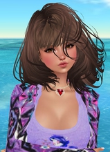 XButterFlyX