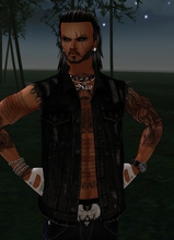 NikoDemonFly