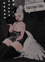 avpic