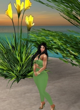 Guest_mhilugray