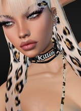 SilkyKITTY