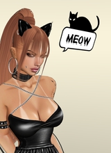 SilkyKITTY