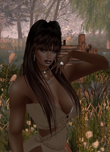 sexylence