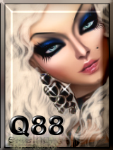 Canvas: Q88