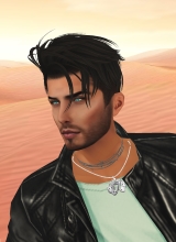 SoltanVonSilver