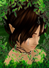 avatar-billede
