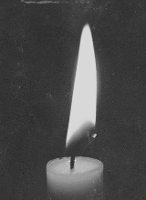 iNikol