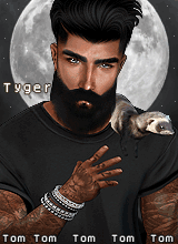 Tyger