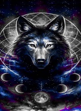 oWHITEWOLFo