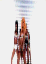 MZSN1P3SxBUSTiNatEM