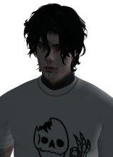 Gartz