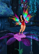 wooBrisita