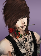 Guest_GNevada09