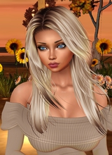 Auburnnet