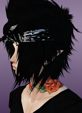 Guest_alekskrist