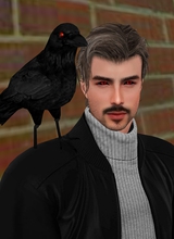 AlberthVanDerCouter