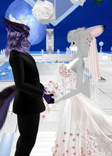 Bunnydarkwolf