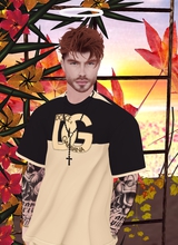 GeoTELES