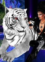 Sinnamon