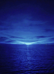 immagine avatar