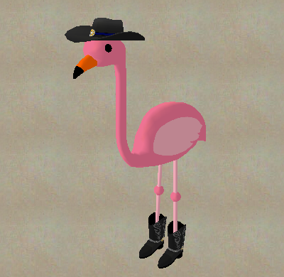 Western Flamingo