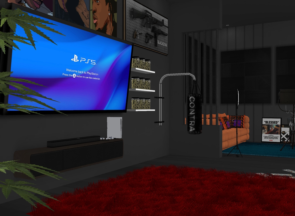 Requested trap room photo 4