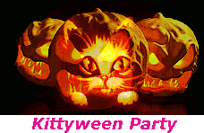 KITTYWEEN PARTY