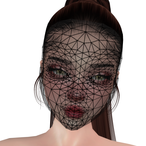 Derivable Face Mask Preview Image