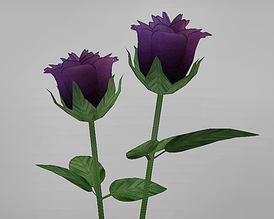 2 Roses in a Vase Closeup